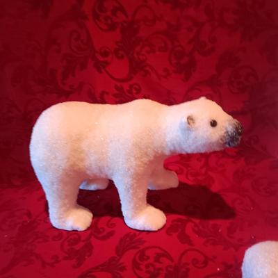VARIETY OF POLAR BEARS