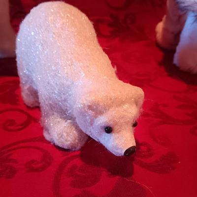 VARIETY OF POLAR BEARS