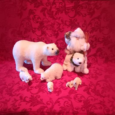 VARIETY OF POLAR BEARS