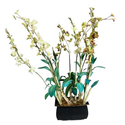 290 Large NDI Silk Orchid Flower Arrangement