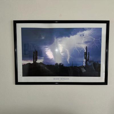 DESERT MONSOON PICTURE