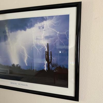 DESERT MONSOON PICTURE