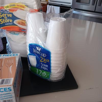 DISPOSABLE PLATES, CUPS AND FLATWARE
