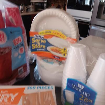 DISPOSABLE PLATES, CUPS AND FLATWARE