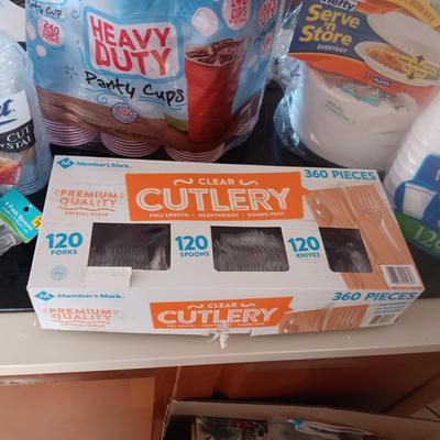 DISPOSABLE PLATES, CUPS AND FLATWARE