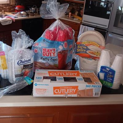 DISPOSABLE PLATES, CUPS AND FLATWARE