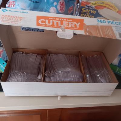 DISPOSABLE PLATES, CUPS AND FLATWARE