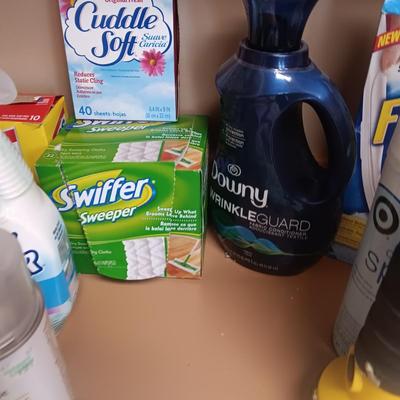 CLEANING SUPPLIES AND PEST CONTROL