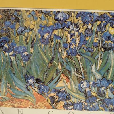 "Irises" Vincent Van Gogh Flower Garden Print