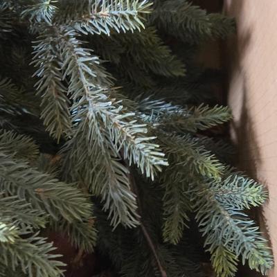 Decorative Evergreen Pieces and Dried Pomegranates