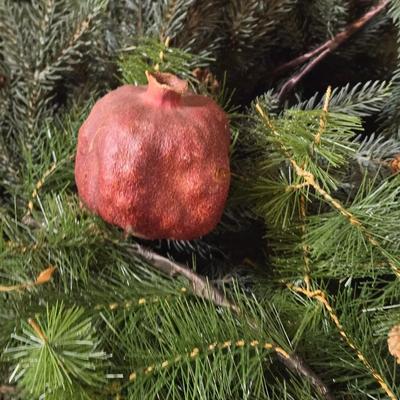 Decorative Evergreen Pieces and Dried Pomegranates