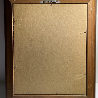 The Presidential Framed Coin Collection 20th Century as Pictured.