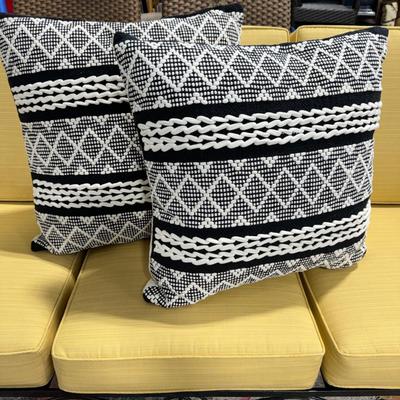 304 Devi Design Black and White Pillows