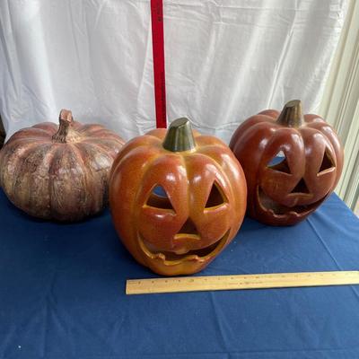 Pumpkin lot