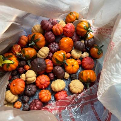 Large box of fall decor