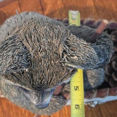 Birch Bark Canon with Paddling Raccoon