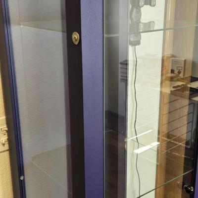 Purple Metal & Glass Curio Cabinet