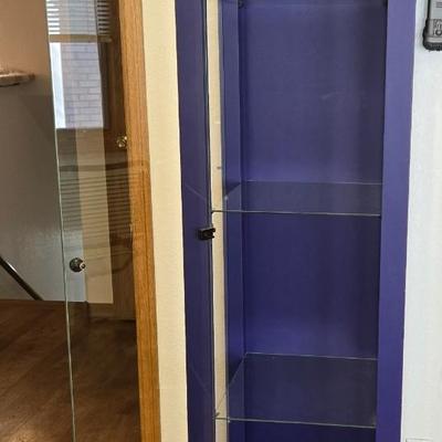 Purple Metal & Glass Curio Cabinet