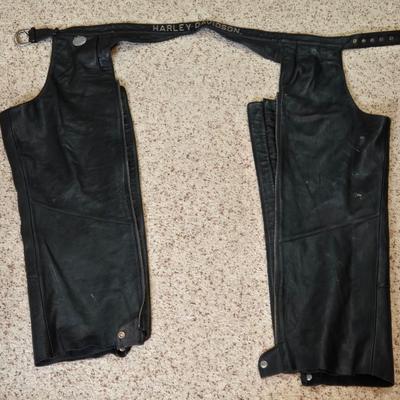 Harley Davidson Leather Chaps