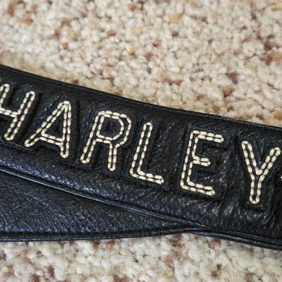 Harley Davidson Leather Chaps