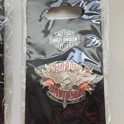 Harley Davidson Collector's Pins