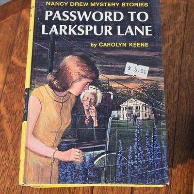 Nancy Drew Book Lot