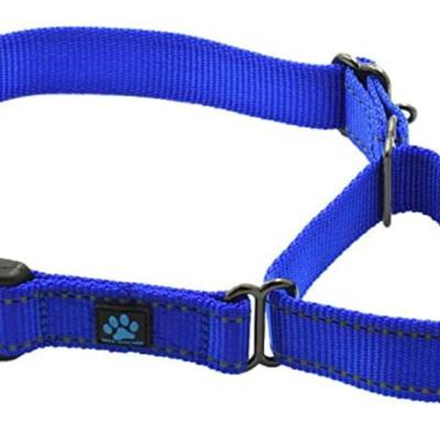 NWT Max & Neo Royal Blue Nylon Buckle Martingdale Dog Collar Size Large
