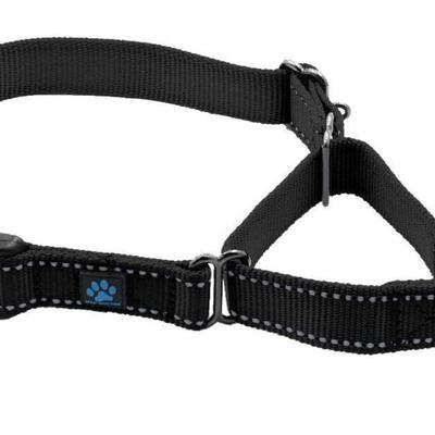 NWT Max & Neo BLACK Nylon Buckle Martingdale Dog Collar Size SMALL