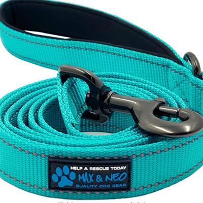 NWT Max and Neo Teal/Aqua Double Handled 6' Nylon Training/ Secure Leash
