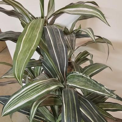 Four Decorative Artificial Plants (BS-JS)