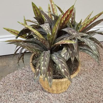 Four Decorative Artificial Plants (BS-JS)