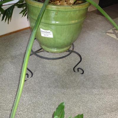 Split-leaf Philodendron Live Plant in Glazed Ceramic Pot and Metal Plant Stand