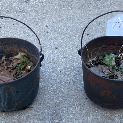 Flower Pots