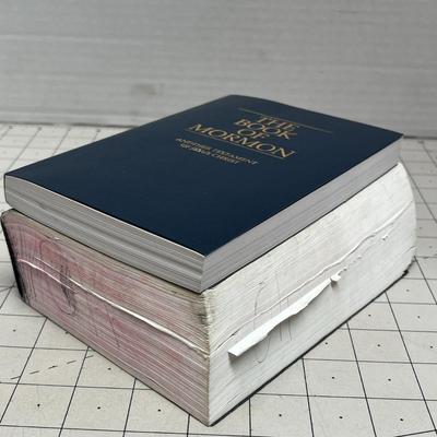 The Book Of Marmon (another Testament Of Jesus Christ) & Holy Bible (king James Version)