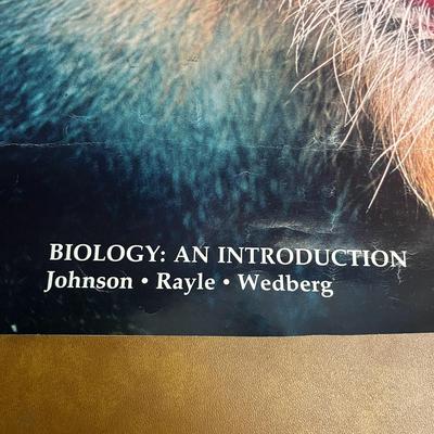 Biology: An Introduction