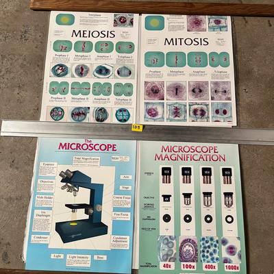 Meiosis, Mitosis, The Microscope & Microscope Magnification