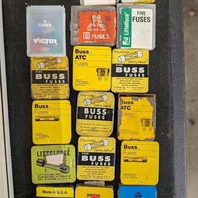 Bulbs and Fuses