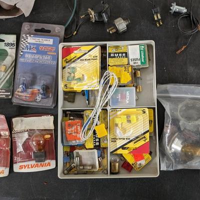 Bulbs and Fuses