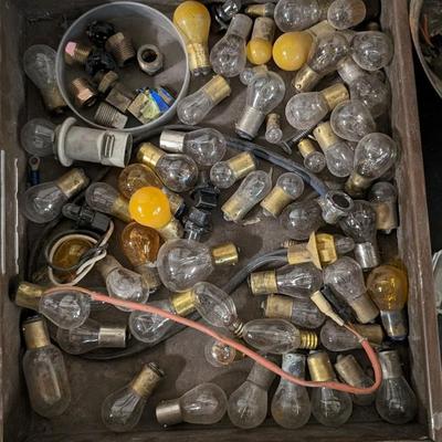 Bulbs and Fuses