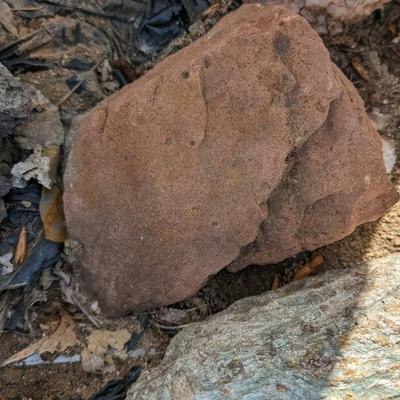 Rock Hound