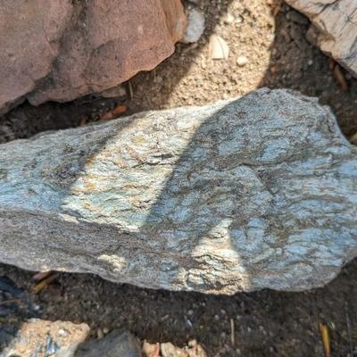 Rock Hound