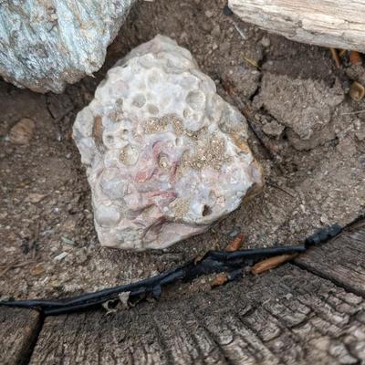 Rock Hound