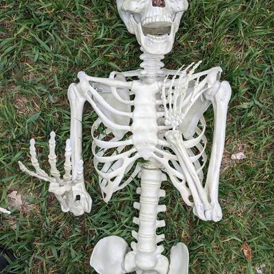 Skeletons