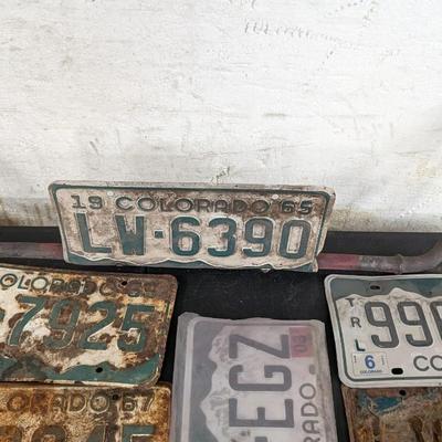 Found License Plates