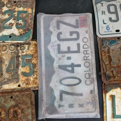 Found License Plates