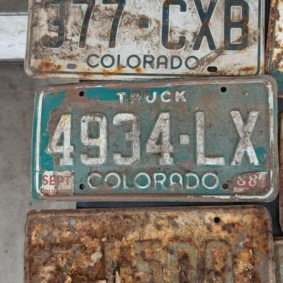 Found License Plates