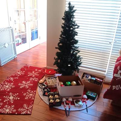 LITE EVERGREEN TREE IN A POT, 3 THROW RUGS, ORNAMENTS, STOCKING STUFFERS, ETC