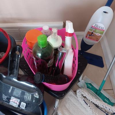 CLEANING SUPPLIES AND A STEP STOOL