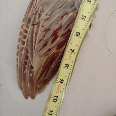 Native American Leather and Wooden Shamanic Rattle and Feather Smudge Fan