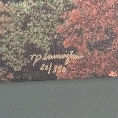 Framed Mountain Scene Giclee by Teresa Pennington- Signed and Numbered